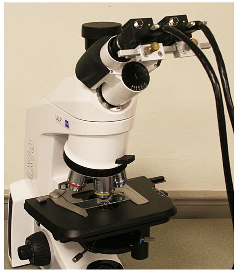 Upright Bright Field Microscope Fitted With Two Ieee 1394 Video Cameras