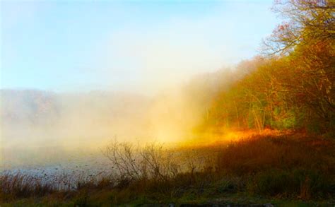 Morning Sunlight Thru The Lake Mist Wally David