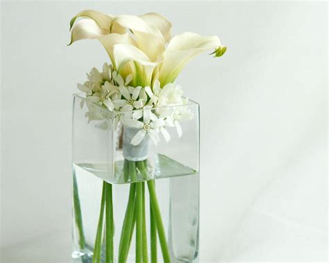 Laceleaf will last up to 42 days in a vase… 7 Tips That Make Your Flowers Last Longer!!