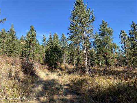 Worley, Kootenai County, ID Undeveloped Land for sale Property ID