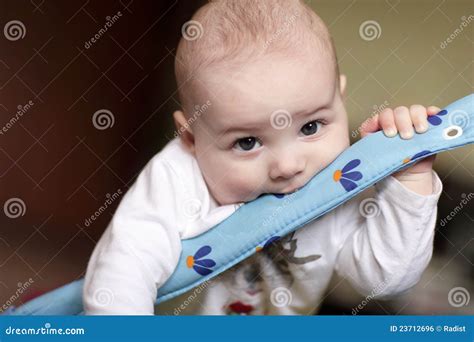 Funny Baby Stock Photo Image Of Carefree Human Cute 23712696
