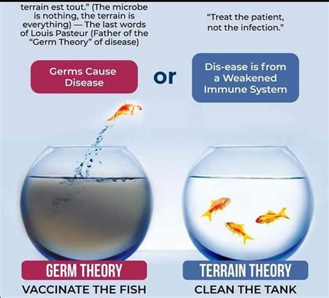 The Terrain Theory Vs The Germ Theory