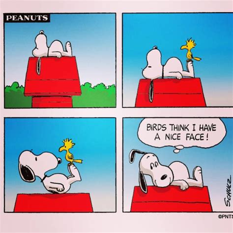 Peanuts On Twitter Snoopy Funny Snoopy Comics Snoopy Cartoon