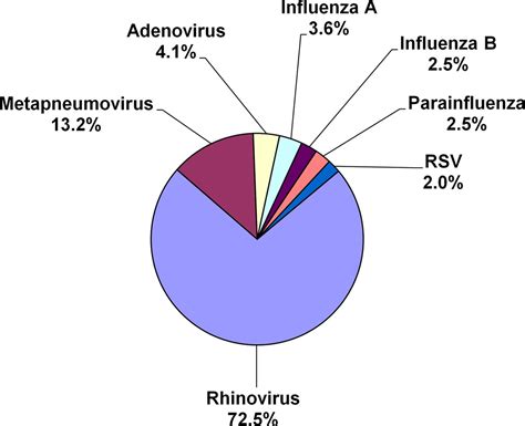 Incidence And Clinical Impact Of Respiratory Viruses In Adults With