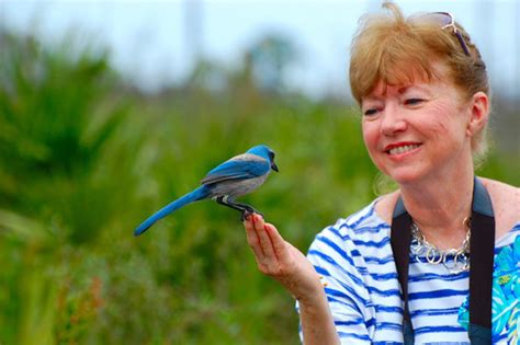 The great backyard bird count is a revolutionary research project that helped bring this decline to light. Cornell University - Great Backyard Bird Count goes global ...