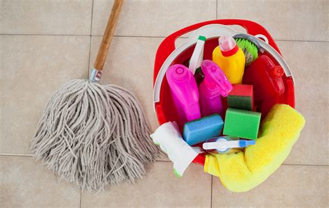 Productos De Aseo Que No Pueden Faltar En Tu Hogar Cleaning 1a