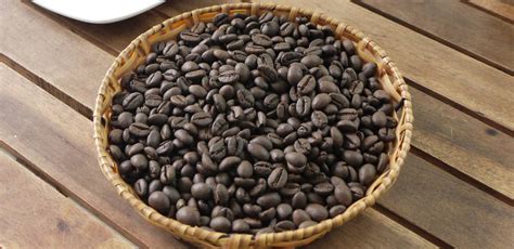 robusta coffee  risk   important coffee myth coffeextraction