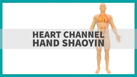 Tcm Anatomy Heart Channel Of Hand Shaoyin Youtube