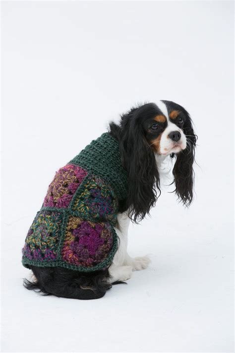 Hippie Dog Sweater In Lion Brand Unique L32306