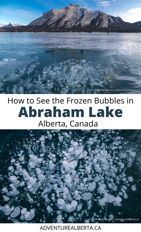 Abraham Lake Bubbles How To See The Frozen Bubbles In Abraham Lake