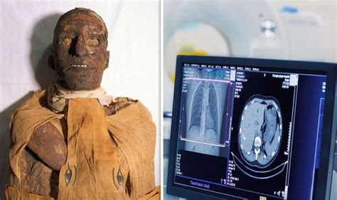 Egypt Why 3000 Year Old Pharaohs Body Scan Stunned Archaeologists