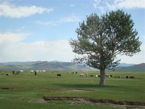 80 Mongolia Facts The Land Of The Eternal Blue Sky Facts Net