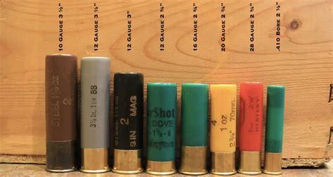 10 Gauge Shotgun Shell