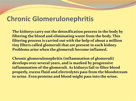 Ppt Chronic Glomerulonephritis Symptoms Causes And Treatment