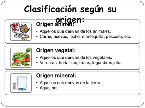 Experiencias De Un Maestro El Origen De Los Alimentos