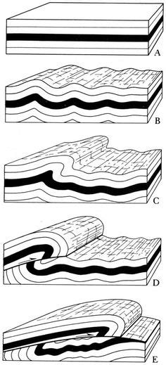Syncline And Anticline Folds Geology Rocks Earth Science Geology