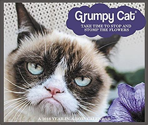 2018 Grumpy Cat Calendar Year In A Box Year In A Box 0038576635289