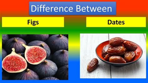 Difference Between Figs And Dates Youtube