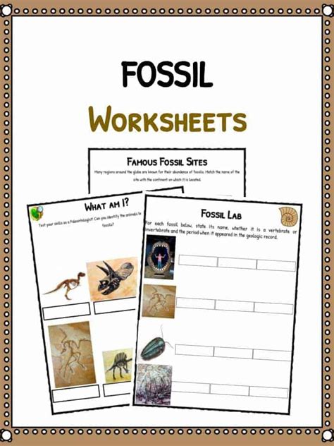 Fossil Activity Worksheet For Kindergarten