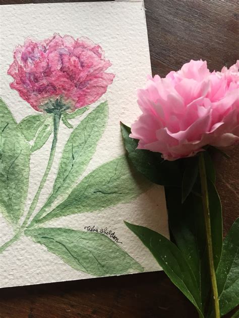 Peonies Are Blooming In The Garden Watercolor By Tisha Sheldon