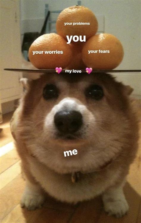 Wholesome Memes Wholesome Memes To Cheer You Up On The Fly