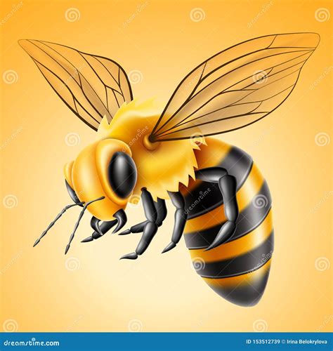 Vector Realistic Flying Bee Natural Honey Product Stock Vector