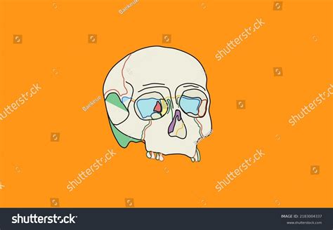 Skull Human Skeletal Head Art Concept Stock Illustration 2183004337