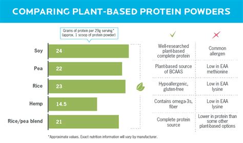 plant based protein a guide from precision nutrition