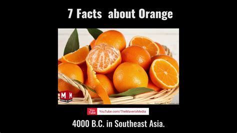 7 Most Interesting Facts About Oranges That You Never Knew Youtube