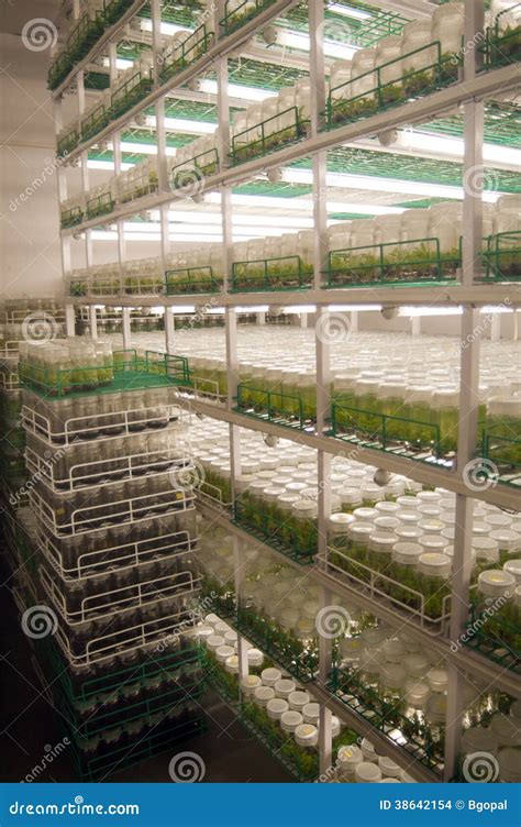 Agricultural Research Labs Editorial Stock Image Image Of Agro 38642154
