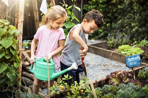 School Garden Lessons | Museum Food Culture
