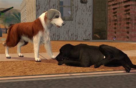 Sims 3 Dog Sliders Zoneroom