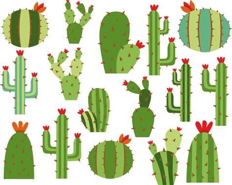 Kaktus Léto Příroda Vektorová Grafika Zdarma Na Pixabay