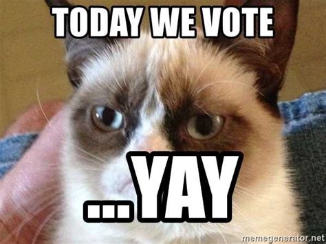24 Funny And Cute Voting Memes Because You Gotta Vote And Make Your Voice Heard