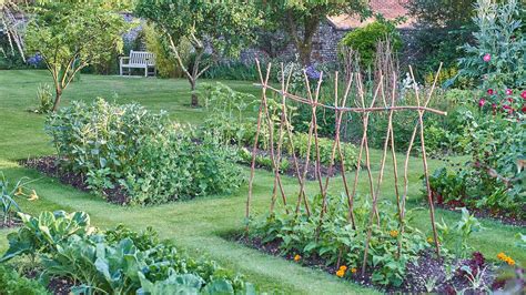 4 Home Vegetable Garden Ideas And Types On A Budget