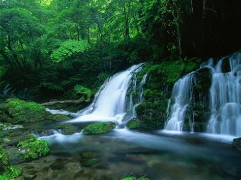 Waterfall Forest Hd Wallpapers Wallpaper Cave