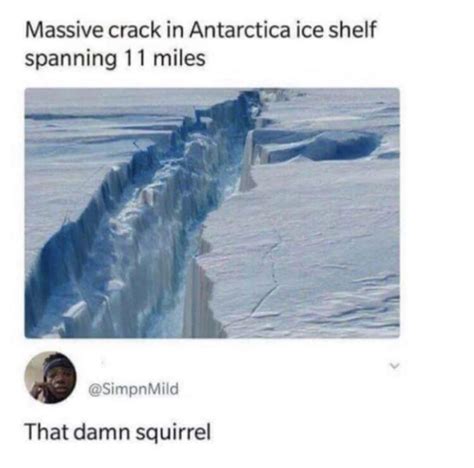 Jesus Christ Squirrel Meme Guy