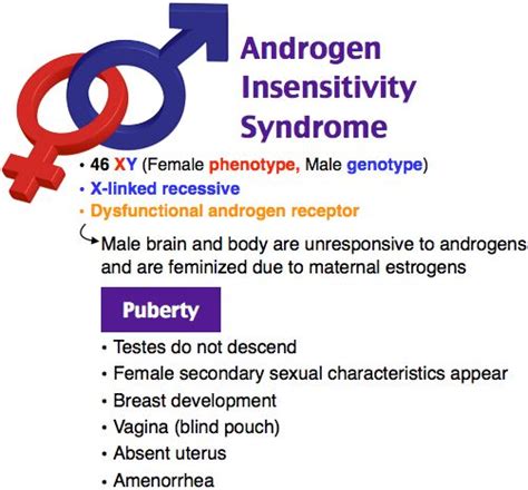 Androgen Insensitivity Syndrome Testicular Femininization Androgen Insensitivity Syndrome
