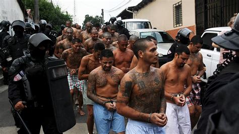 Ms 13 Wants To Send Younger More Violent Offenders To The Us
