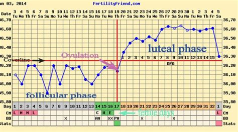 Bbt Chart Basal Body Temperature Chart Bbt Chart For Ovulation Images