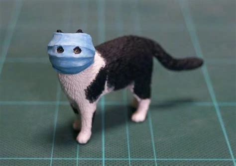 Winter is coming 636k posts. Masked Coronavirus Cat Meme-morialized As A 3D Resin ...