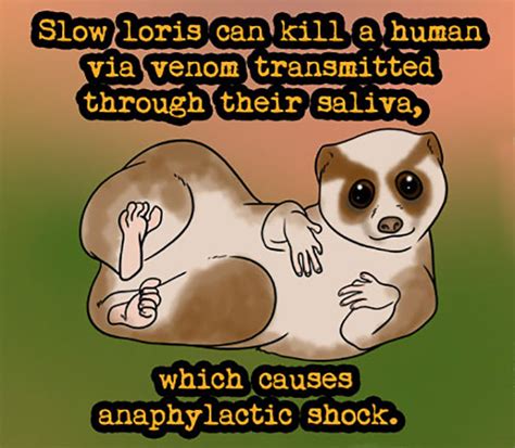 30 Weird Animal Facts They Didnt Teach You In School Bored Panda