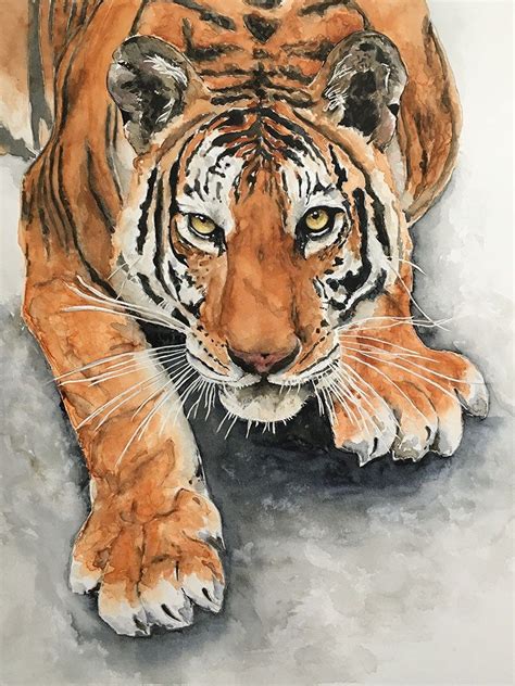 Tiger Watercolor Painting By Kate Plum Doodlewash Aquarell Tiere