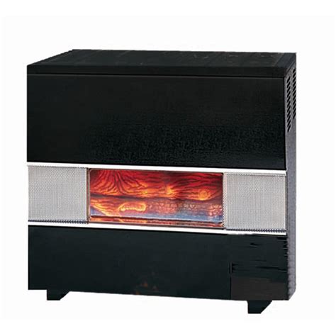 Williams 35000 Btu Natural Gas Hearth Heater With Wall Or Cabinet