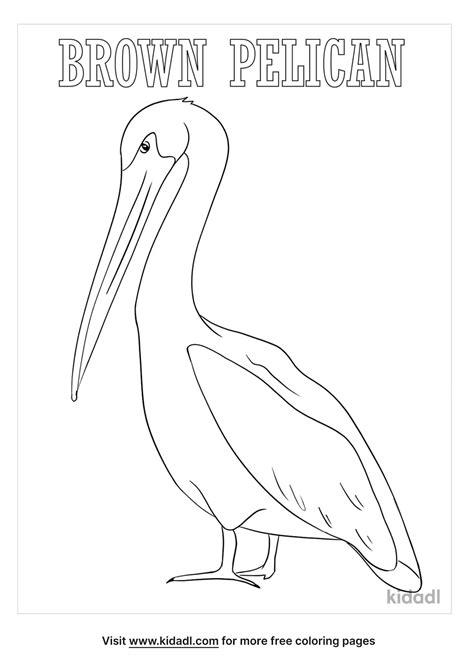 Free Louisiana State Bird Coloring Page Coloring Page Printables Kidadl