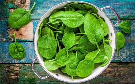 Mulai dari mengonsumsi makanan sehat, menjauhi makanan yang mengandung banyak. Makanan Dan Minuman Yang Bisa Meringankan PMS - Hai Gadis