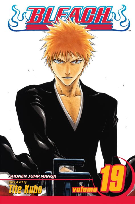 Bleach Vol 19 Book By Tite Kubo Official Publisher Page Simon