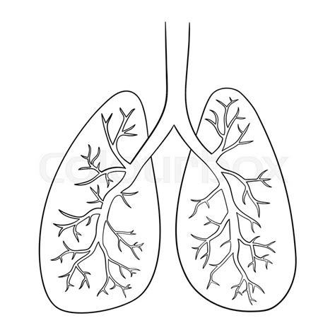 Lungs Clip Art Black And White Sketch Coloring Page