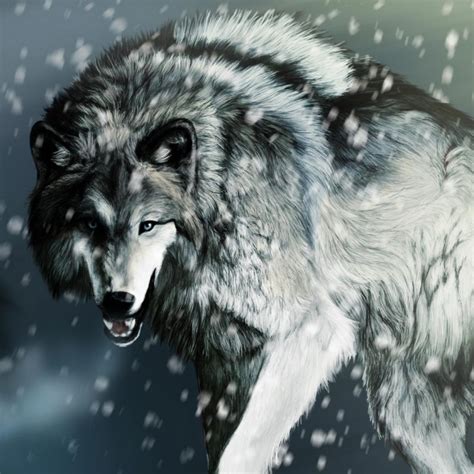 10 New Cool Wolf Desktop Backgrounds Full Hd 1080p For Pc Background 2020
