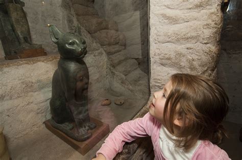 inside ancient egypt field museum